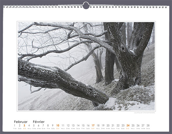 Februar Februar